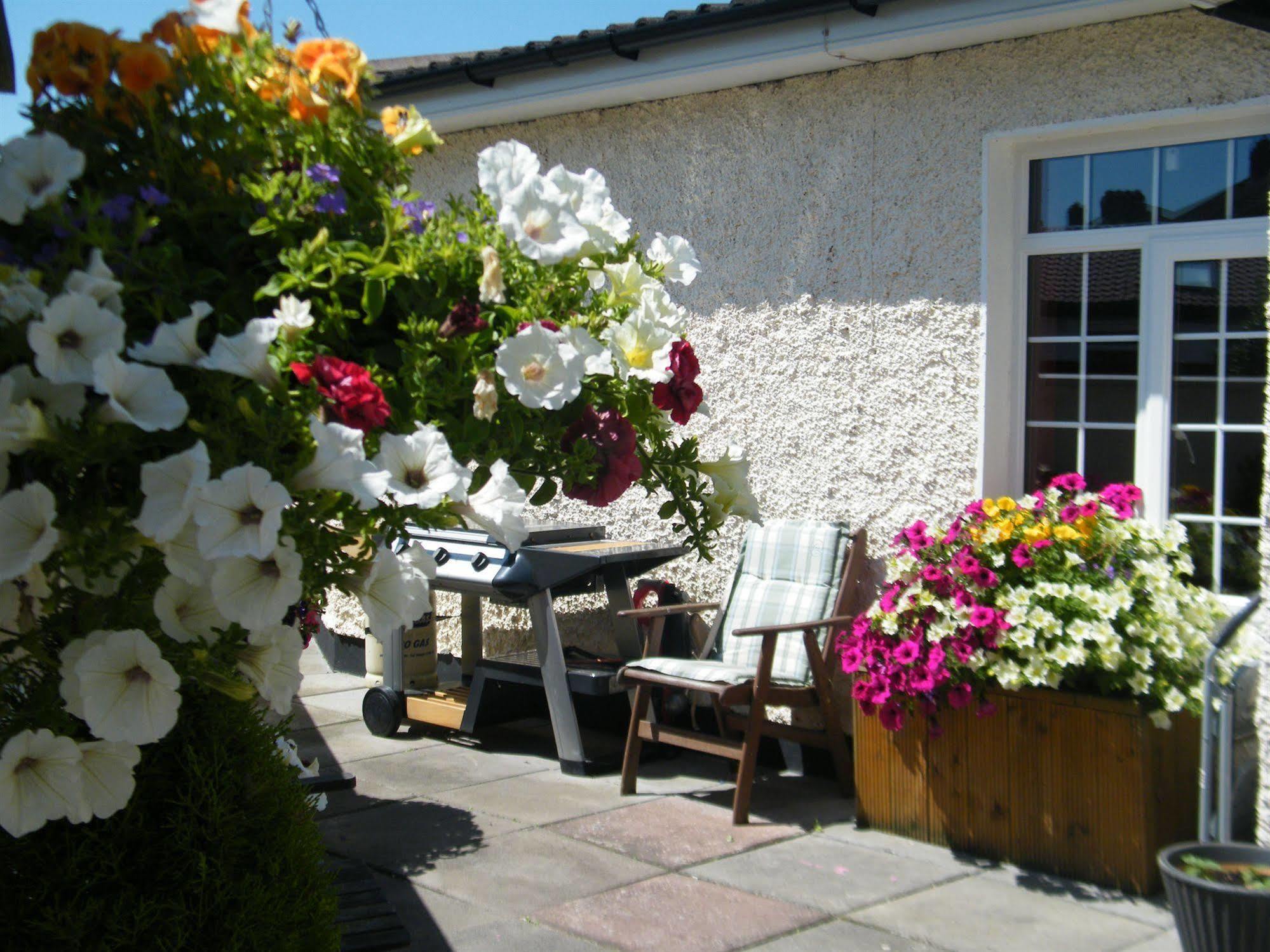 Almanii Couette-café